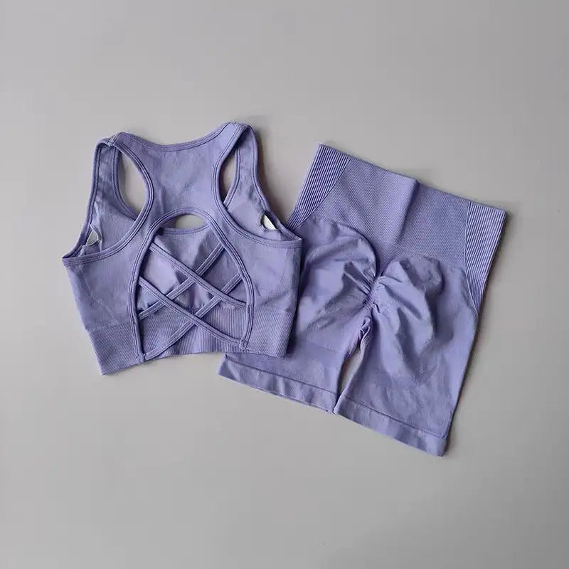 Women's Seamless Yoga Set - 2 Piece High Waist Sports Shorts and Sport Bra for Gym Fitness and Workouts