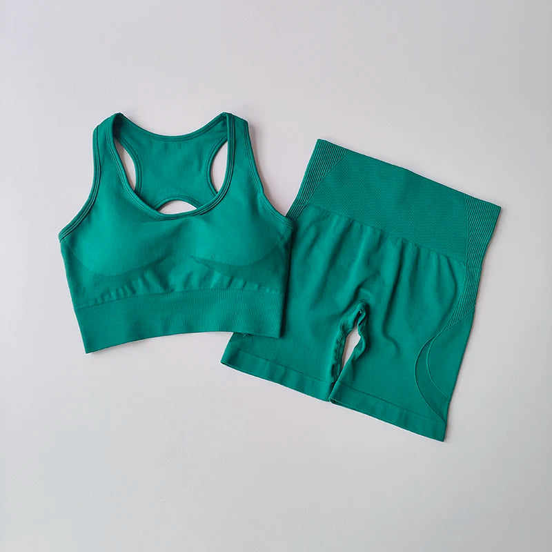 Women's Seamless Yoga Set - 2 Piece High Waist Sports Shorts and Sport Bra for Gym Fitness and Workouts