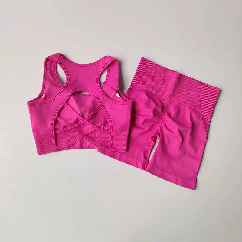 Women's Seamless Yoga Set - 2 Piece High Waist Sports Shorts and Sport Bra for Gym Fitness and Workouts